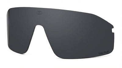 עדשות לדגם Ruling 6030 Gray Polarized Silver